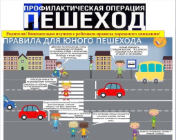 Пешеход Пешеход.