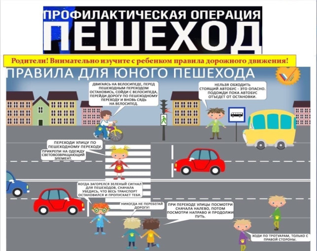Пешеход Пешеход.